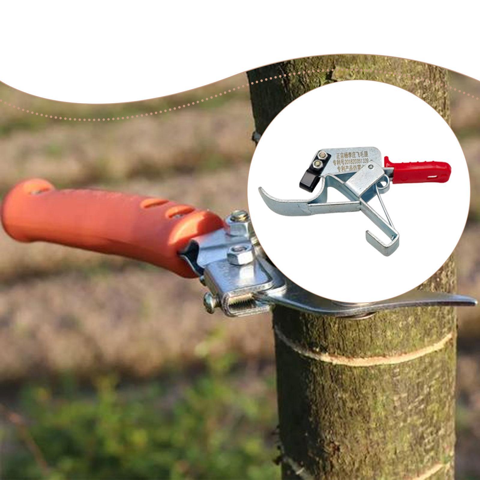 Gardening Tools Essential - 과일나무 감싸기 도구, 필수적이고 실용적이며 효율적이며