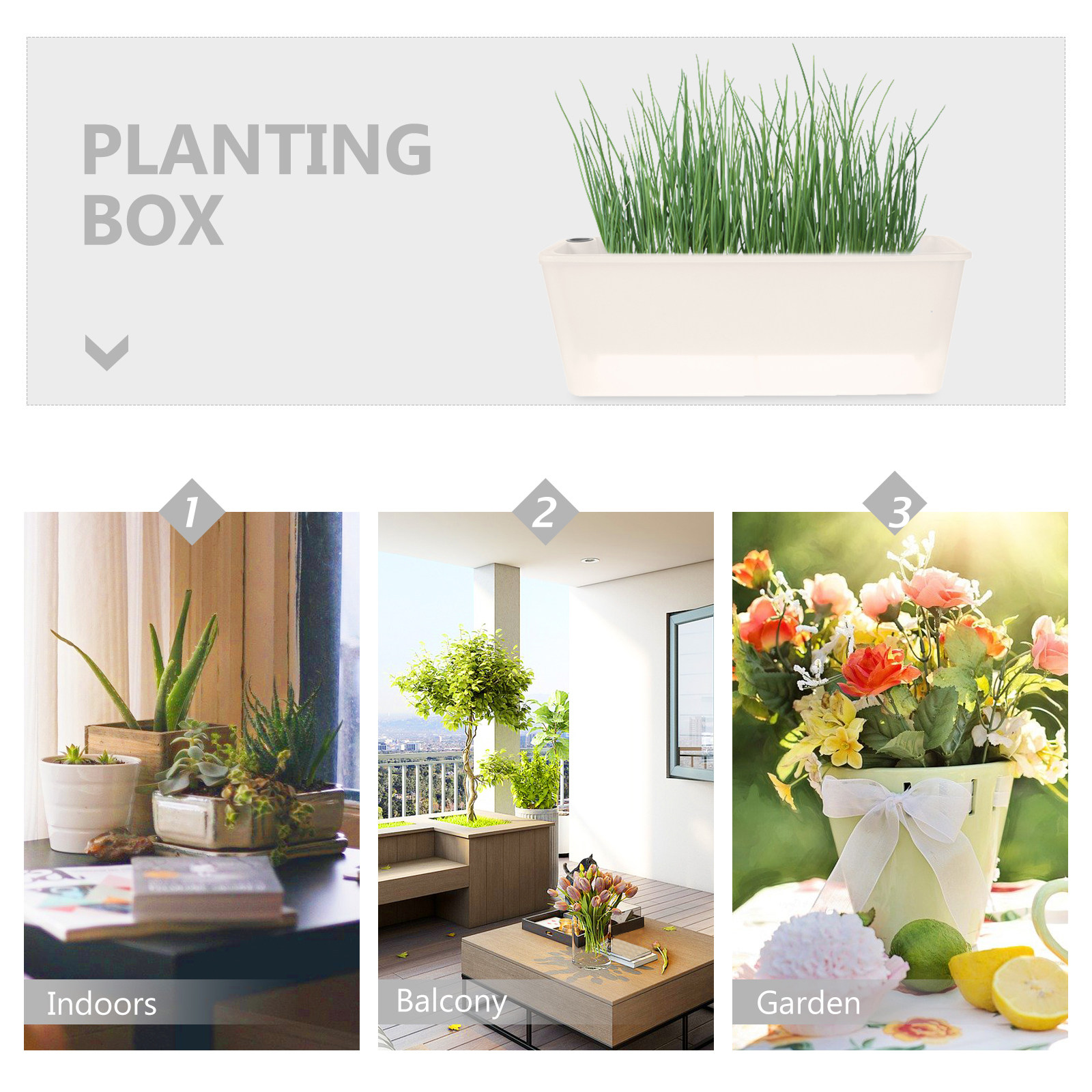 직사각형 화분, 긴 플라스틱 창문형 화분, 발코니용 자 - Self-Watering Planter 리뷰 및 가격
