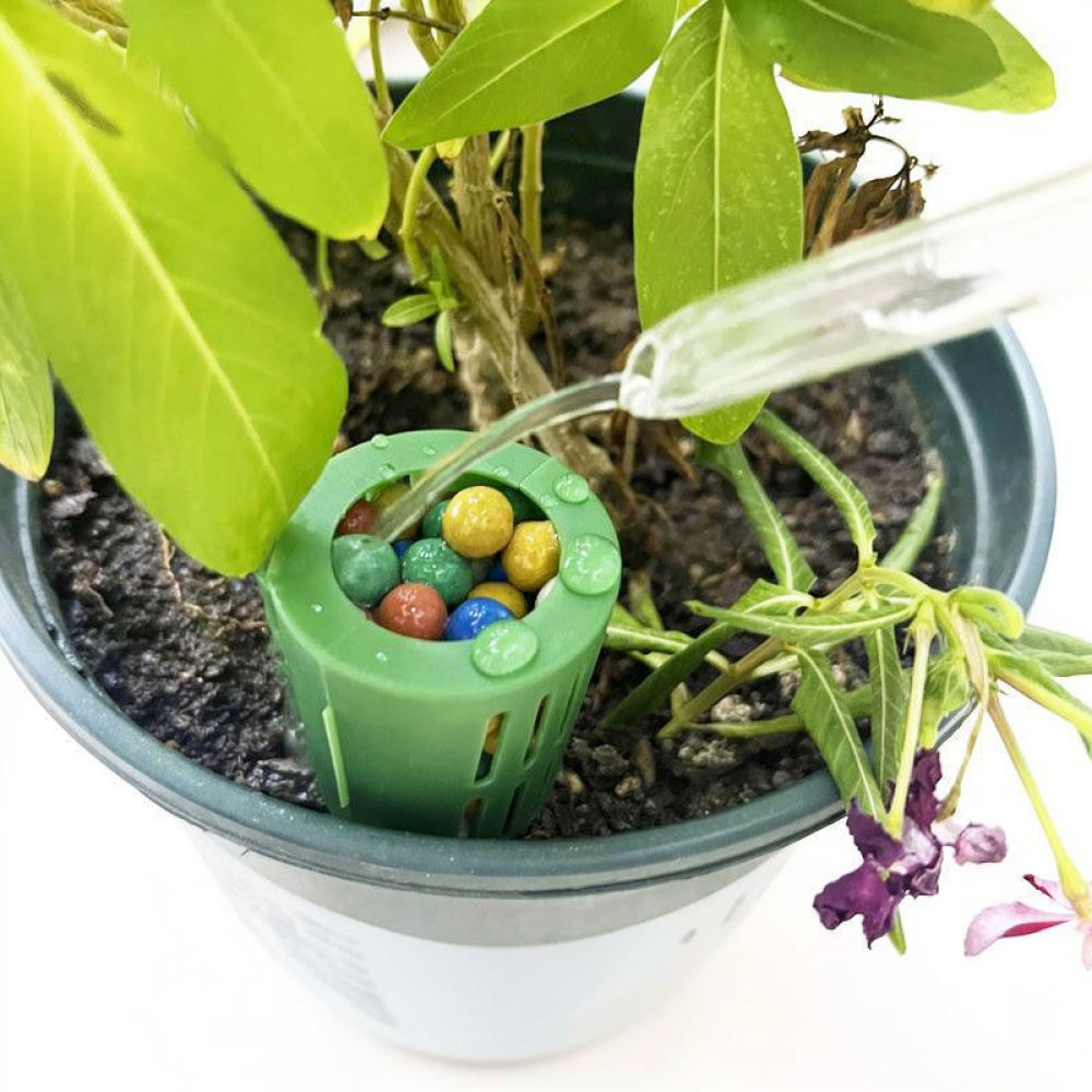 분갈이용 비료 상자, 분재 식물용, 정원 가꾸기용 영양 - Gardening Tools Essential 리뷰 및 가격