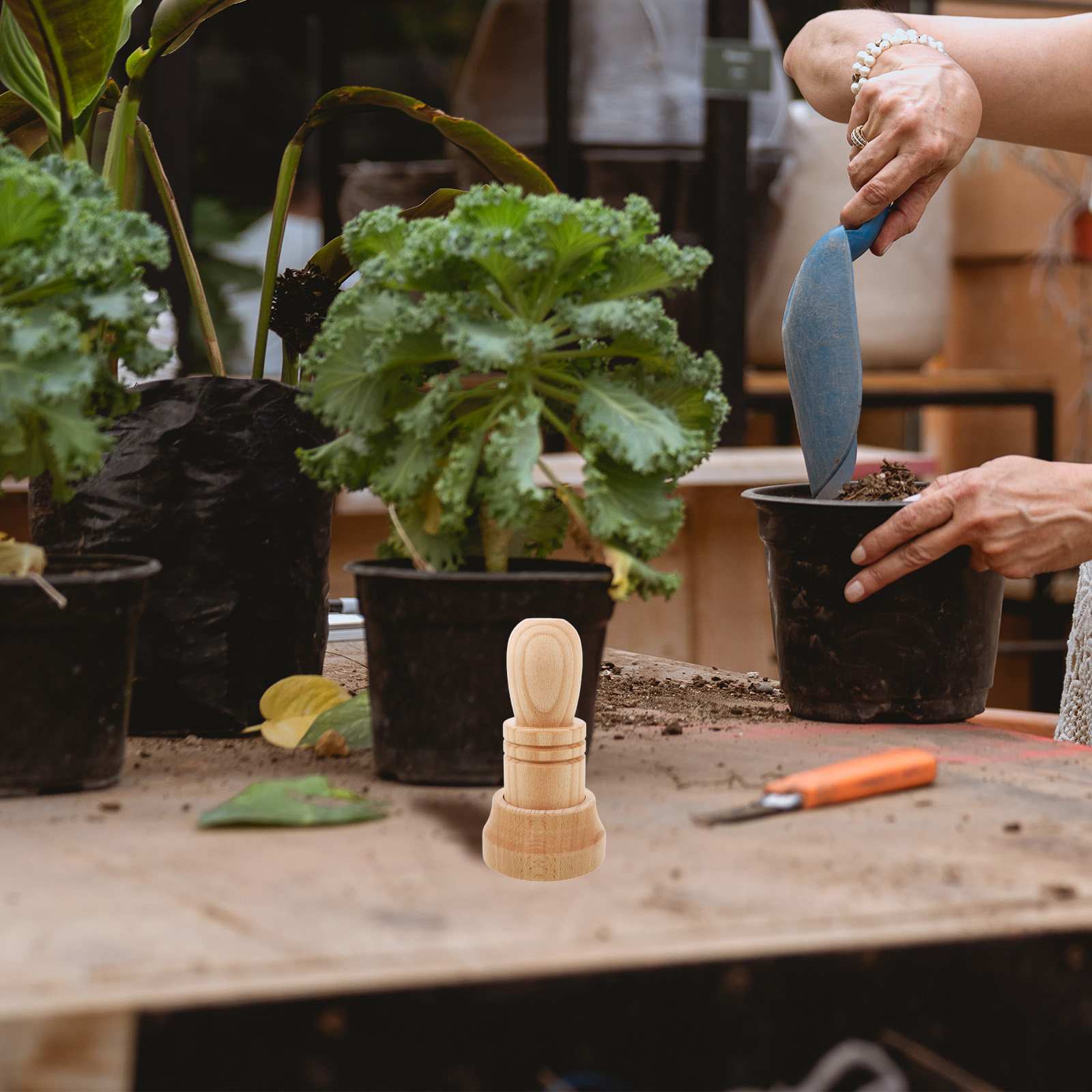 1세트 나무 재질의 신문지 화분 제작 도구, 묘목 재배 - Gardening Tools Essential 리뷰 및 가격